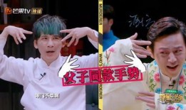 网红大瓜下载 明星大侦探第九季,网红大瓜背后的悬疑故事