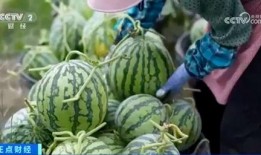 网红大瓜博雅吃瓜视频最全观看